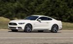 Ford Mustang GT 50th Anniversary Edition 2015 года